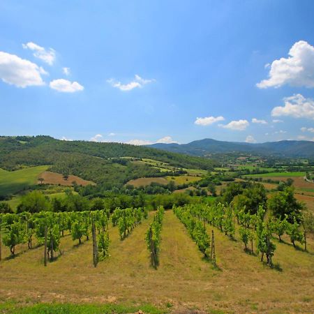 Holiday Home Montebello By Interhome Monterchi ภายนอก รูปภาพ