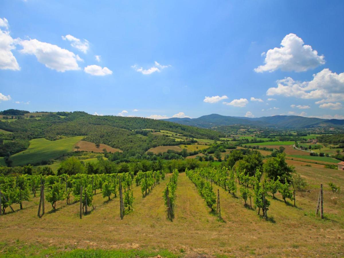 Holiday Home Montebello By Interhome Monterchi ภายนอก รูปภาพ